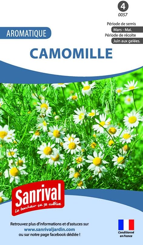 Chamomile