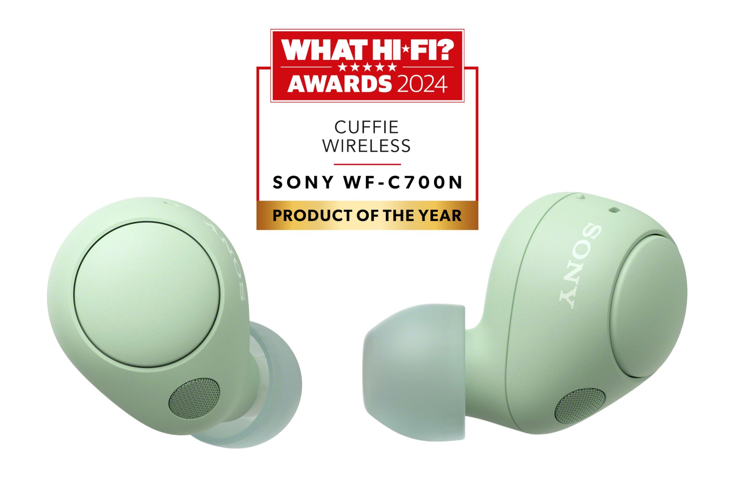 Sony WF-C700N True Wireless Earbuds Noise Cancelling - Dettaglio
