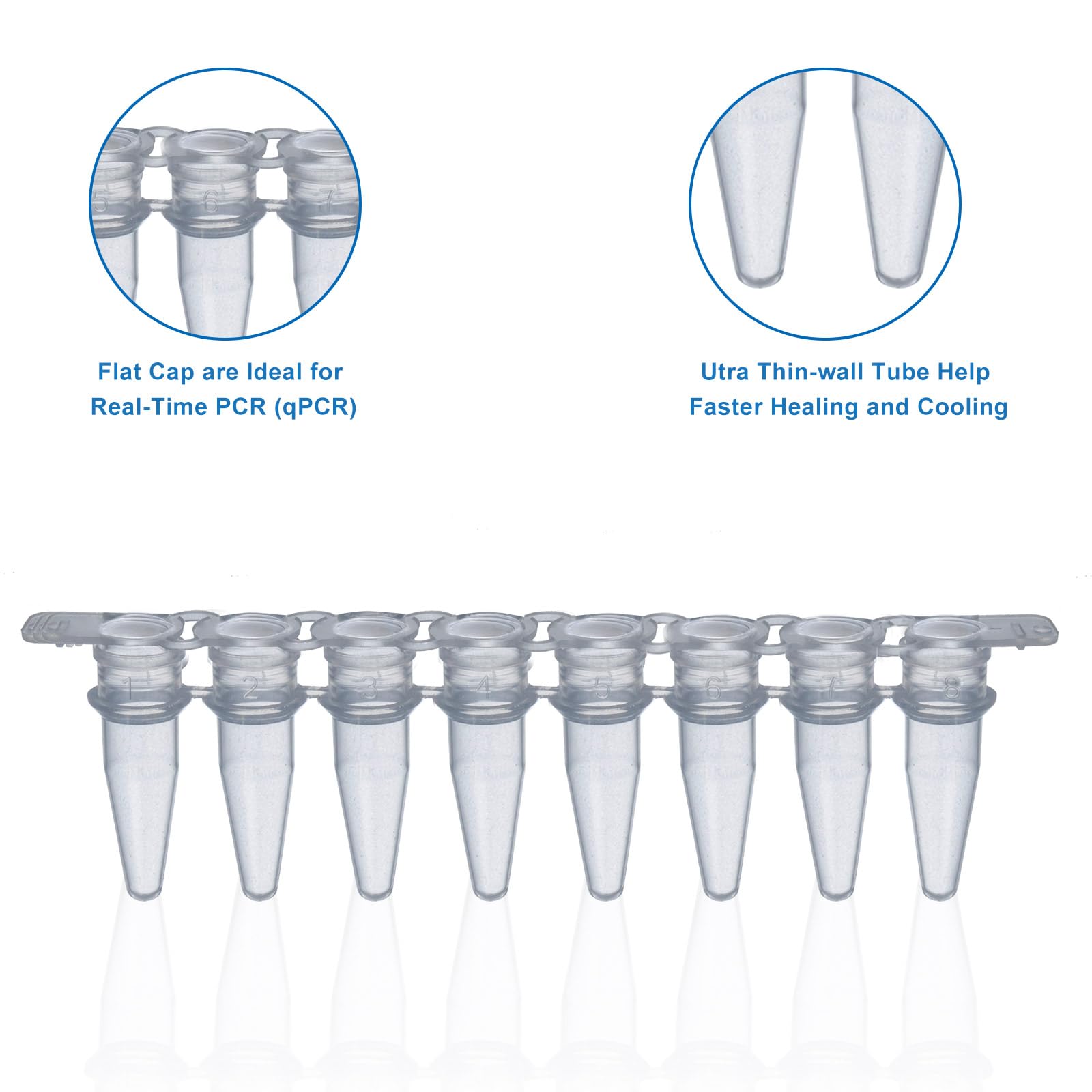1250 Stück PCR Röhrchen, 0,2ml PCR Tube, PCR Tube Strip Mit Flache Kappen, Konisch Bottom 8 Tube Strip, Transparent
