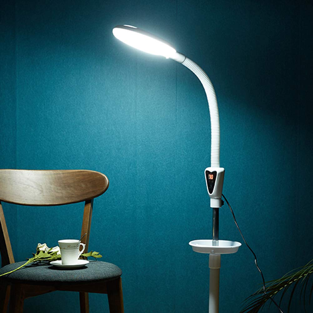 La Lumière Froide 16 Fois Grossissement Lampadaire Salon de Beauté Led Lampe de Beauté Tatouage Beauté Sourcils Cils Sourcil Éclairage Dentaire Avec Support de Plancher Roulant