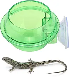 Tigela alimentadora de lagarto, ventosa alimentador de répteis répteis para lagartixa