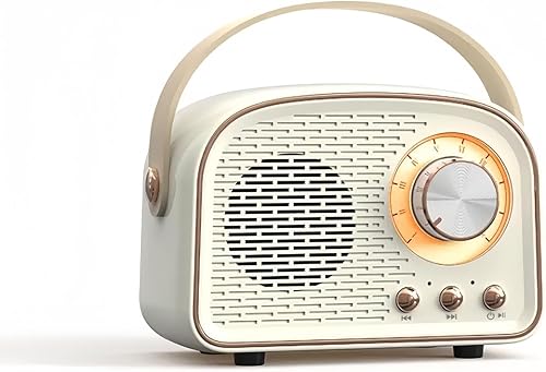 Altavoz Bluetooth retro, mini altavoz Bluetooth portátil compatible con doble conectividad, altavoz de decoración vintage para dormitorio, oficina,