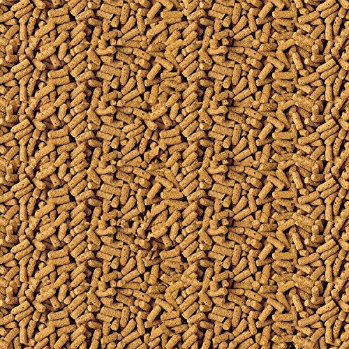 TetraPond Pond Sticks, Pond Fish Food, For Goldfish And Koi, 2.53 Pounds - Image 4