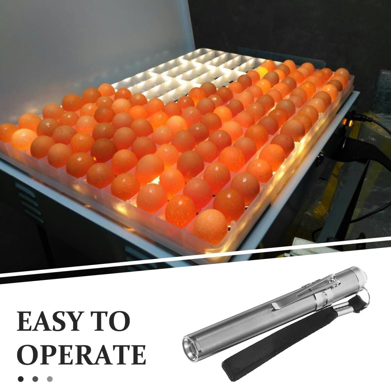 BESPORTBLE Lampe LED pour Mirer Les Œufs Incubation Professionnelle pour Poules Canards Oies avec Lumière Froide Portable pour Vérification Fertilité Et Développement des