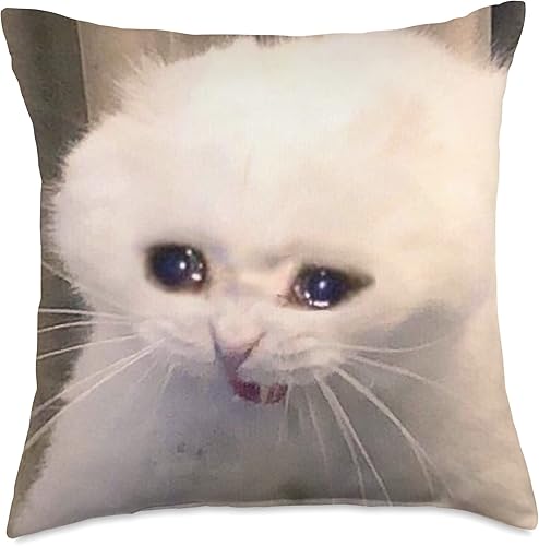 Almohada de gato triste que llora (18 x 18 pulgadas), multicolor disponible en Yaxa Guatemala