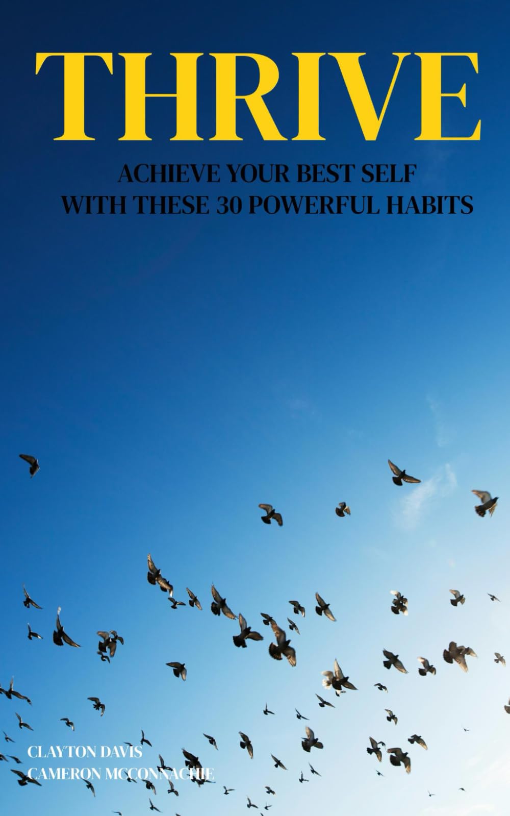 THRIVE: Achieve Your Best Self with These 30 Powerful Habits