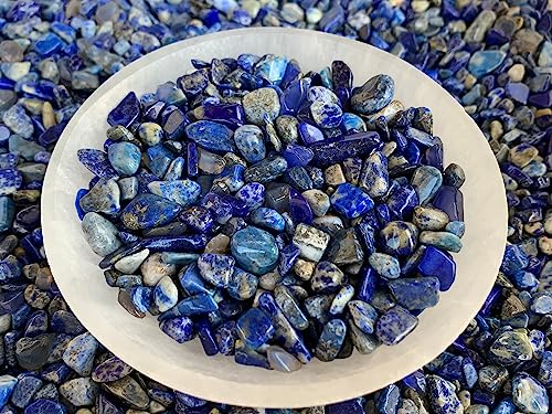 Image of GAF TREASURES 2 oz Lot Natural Semi Tumbled Gemstone Chips, Crushed Mini Crystals, Undrilled Crystal Chips (Lapis Lazuli)