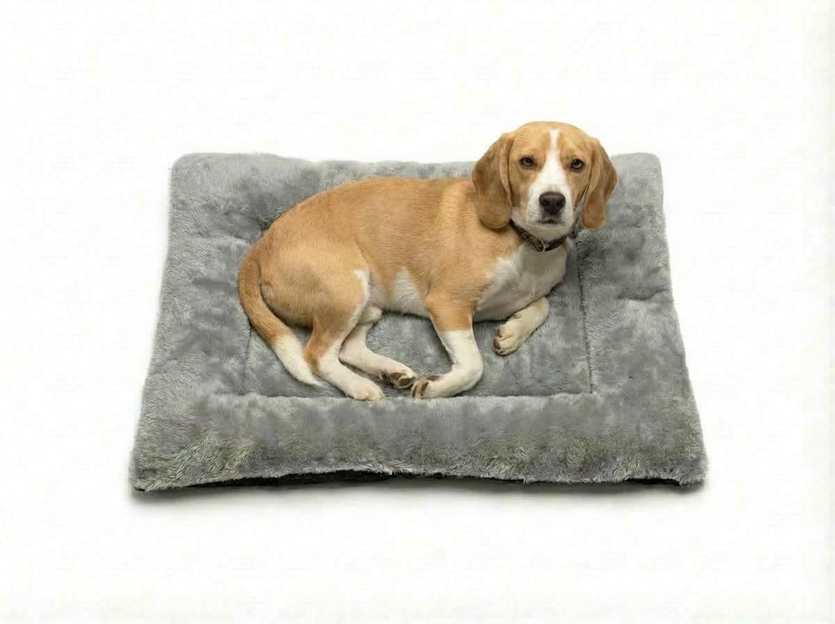 MH Home Dog Bed, Pet Cat Beds Cushion Mattress, Soft Warm Dog Mat Pad For Dogs (Small 50 x 75 cm, Luke)