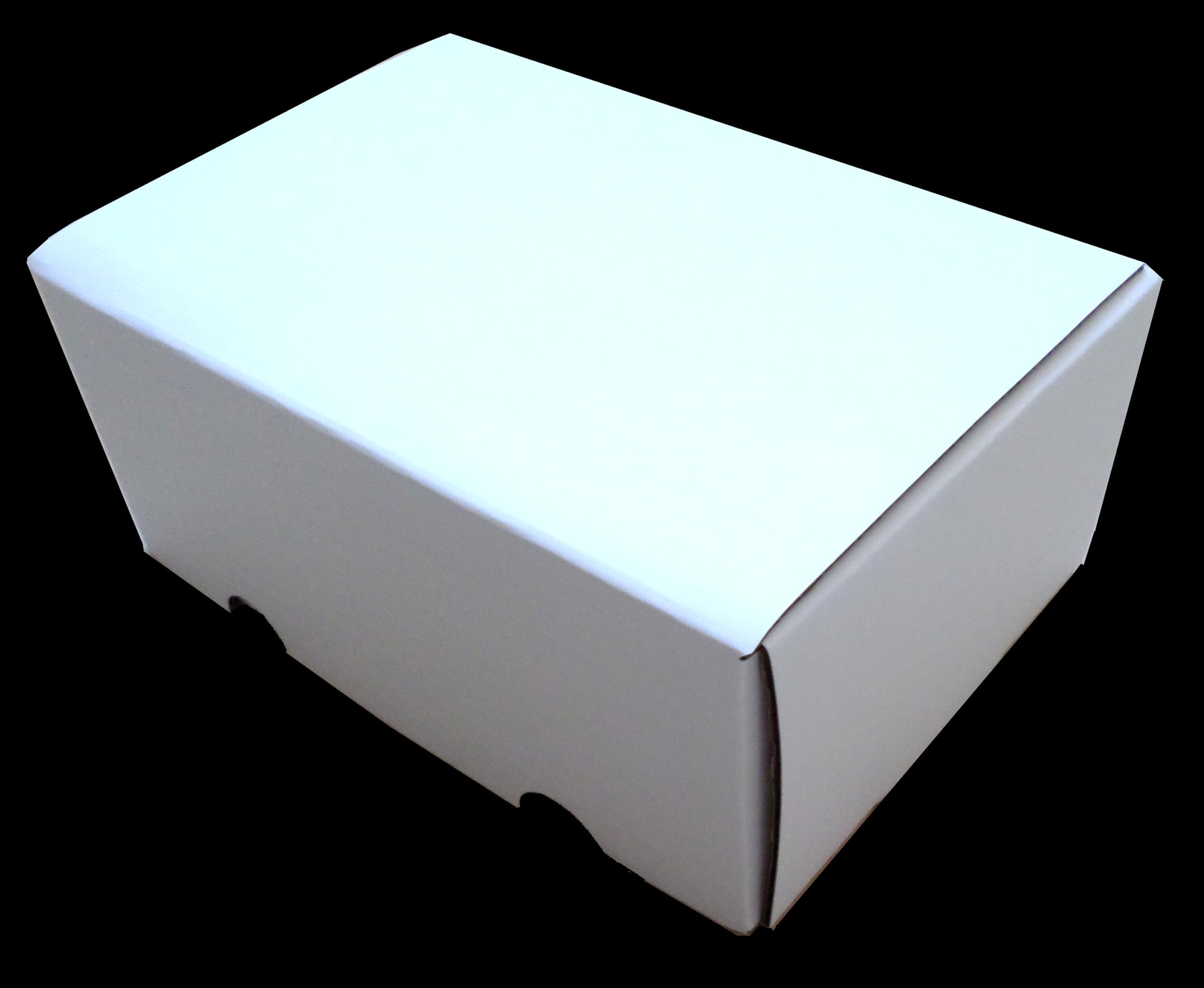 docsmagic.de Graded Trading Card Storage Box - Holding 25 Slabs — image 1