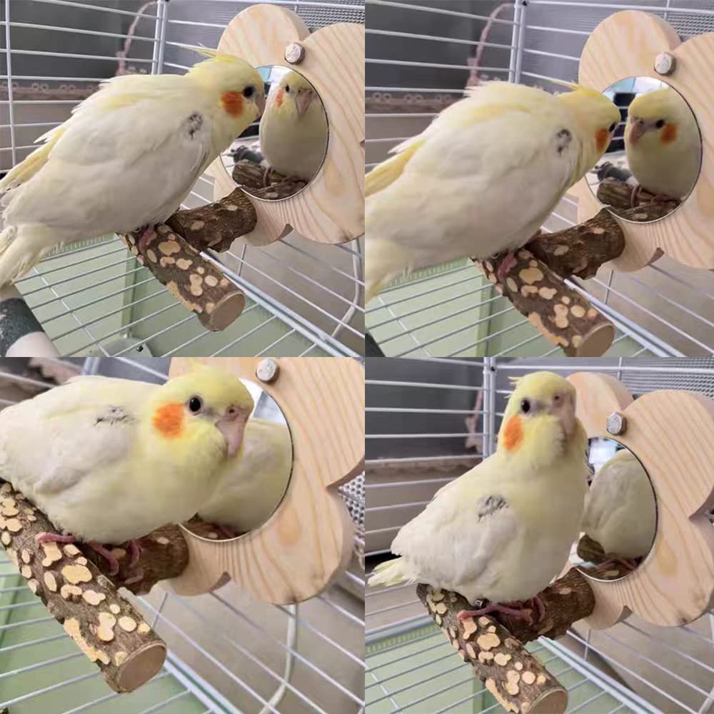 Specchio Giocattolo per Uccelli, Trespolo per Pappagalli, Giocattolo da Masticare a Specchio, Giocattoli dei Pappagalli degli Uccelli