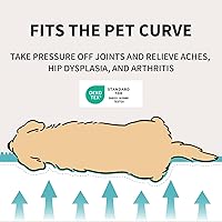 Wagsage Cute Fluffy Pet Couch Sofa Bed for Dogs & Cats - Soft Corduroy Fleece, Supportive 40 Inch Cream Non-Slip