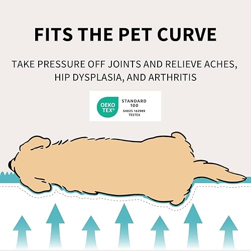 Miniatura 2 de Lindo sofá para mascotas, sofá esponjoso para mascotas con forro polar de pana suave, sofá de apoyo para mascotas con parte inferior antideslizante,