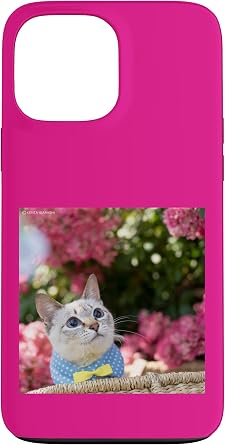 Rose and Siamese Mix Cat Sorara_001 Case for iPhone 13 Pro Max