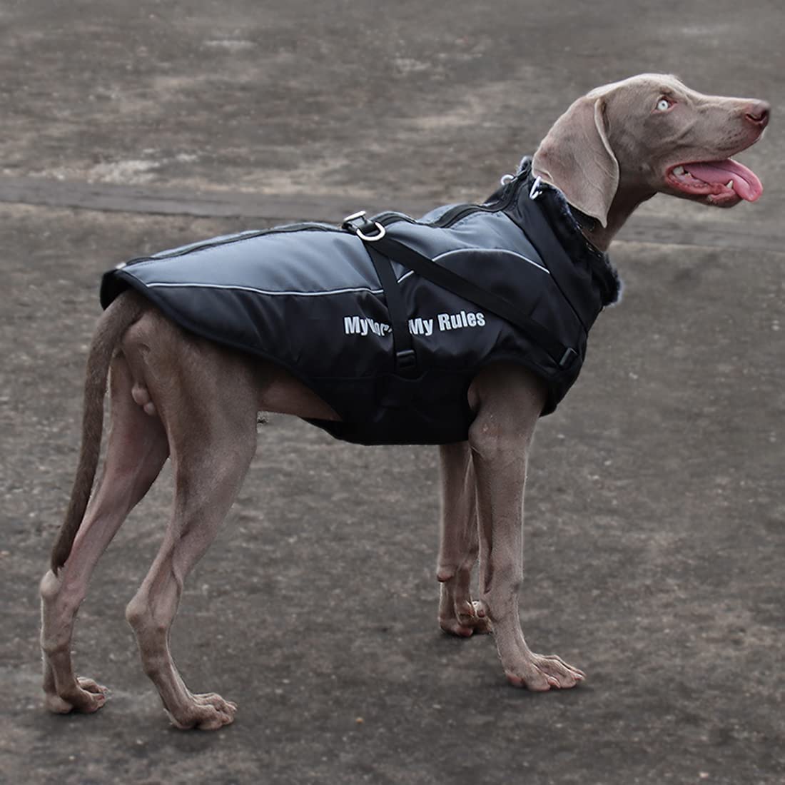 Veste d'hiver 2 en 1 pour chien avec harnais confortable, imperméable, coupe-vent, réversible, manteau d'hiver pour chien chaud pour temps froid, veste pour chiens de taille moyenne et grande