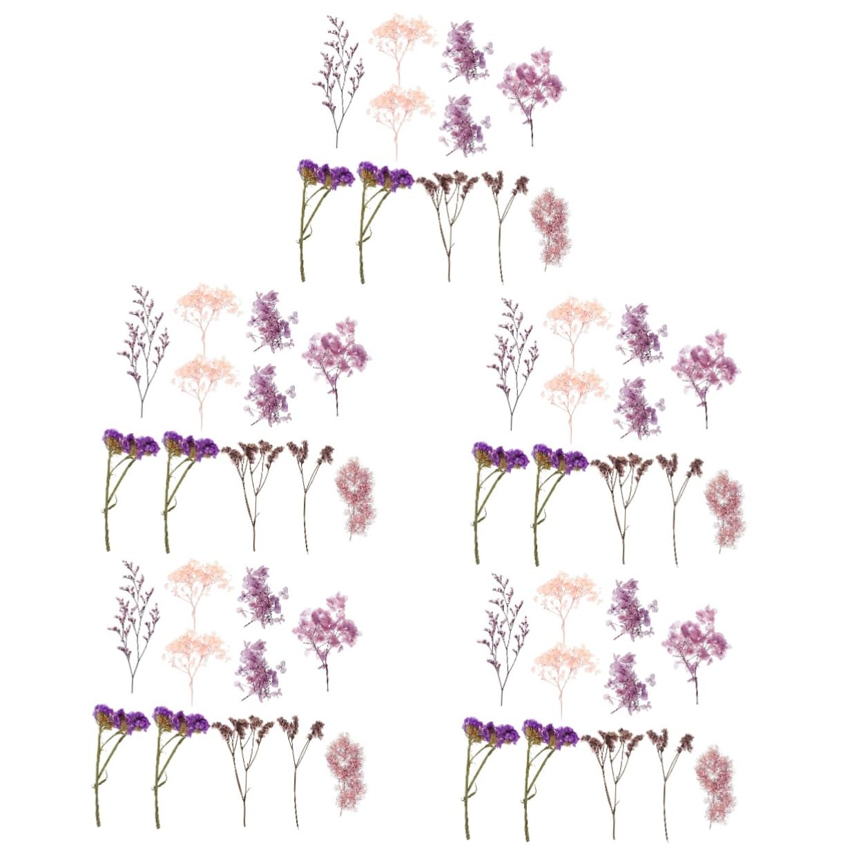 Abaodam 5ensembles Fleurs Séchées Naturelles pour Matériaux Artisanaux Décoration Unique pour Scrapbooking Manucure Et Créations Personnelles pour La Créativité