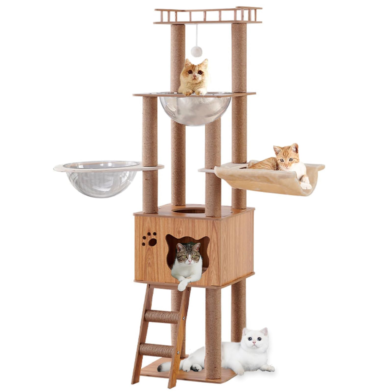 Árbol para Gatos de 155 cm, con 1 Hamaca, casa, 2 cápsulas espaciales Transparentes, 1 Bola Colgante, 1 Plataforma de Salto, árbol para Gatos de Interior (Color del Tronco)