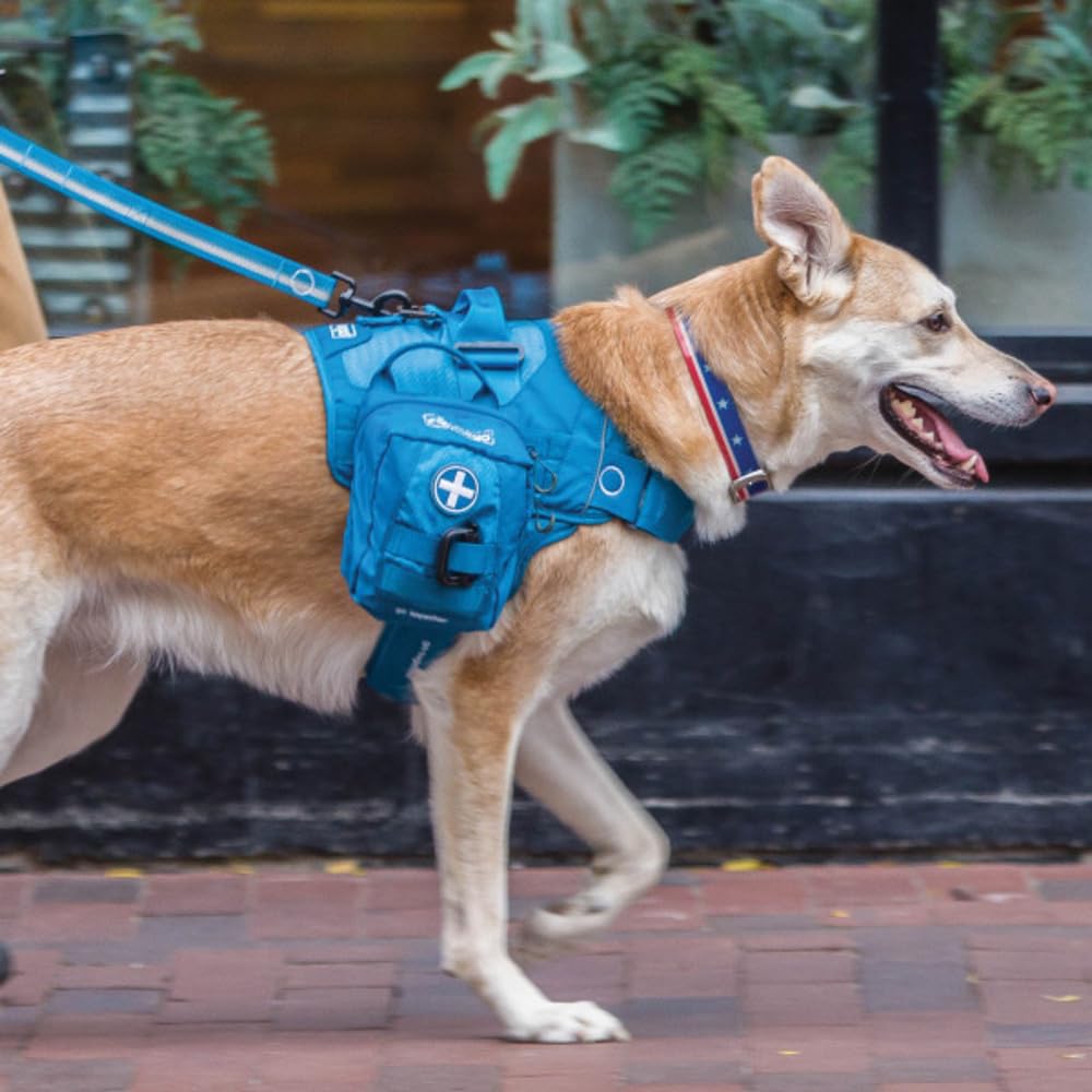 Kurgo RSG Erste-Hilfe-Set für Hunde - Kompakte Erste-Hilfe-Ausrüstung für den Notfall - 49 Teile - MOLLE-kompatibel - Überlebensausrüstung für Haustiere - Auto & Wander Zubehör - Schneller Zugriff