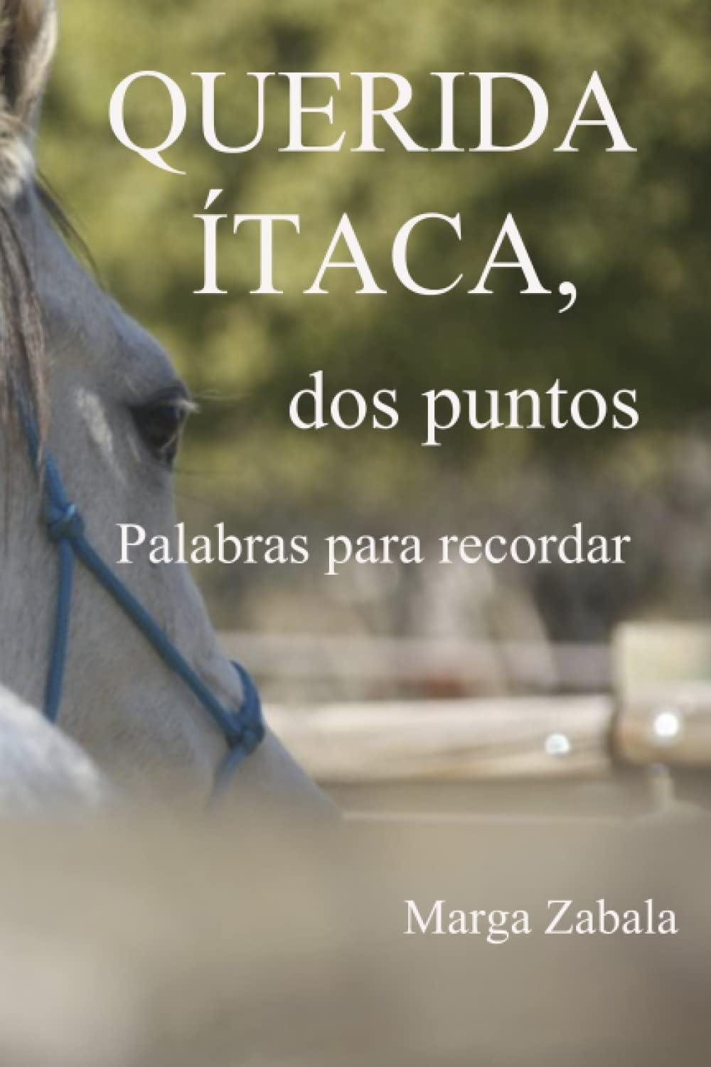 Querida Ítaca, dos puntos: Palabras para recordar (Spanish Edition)