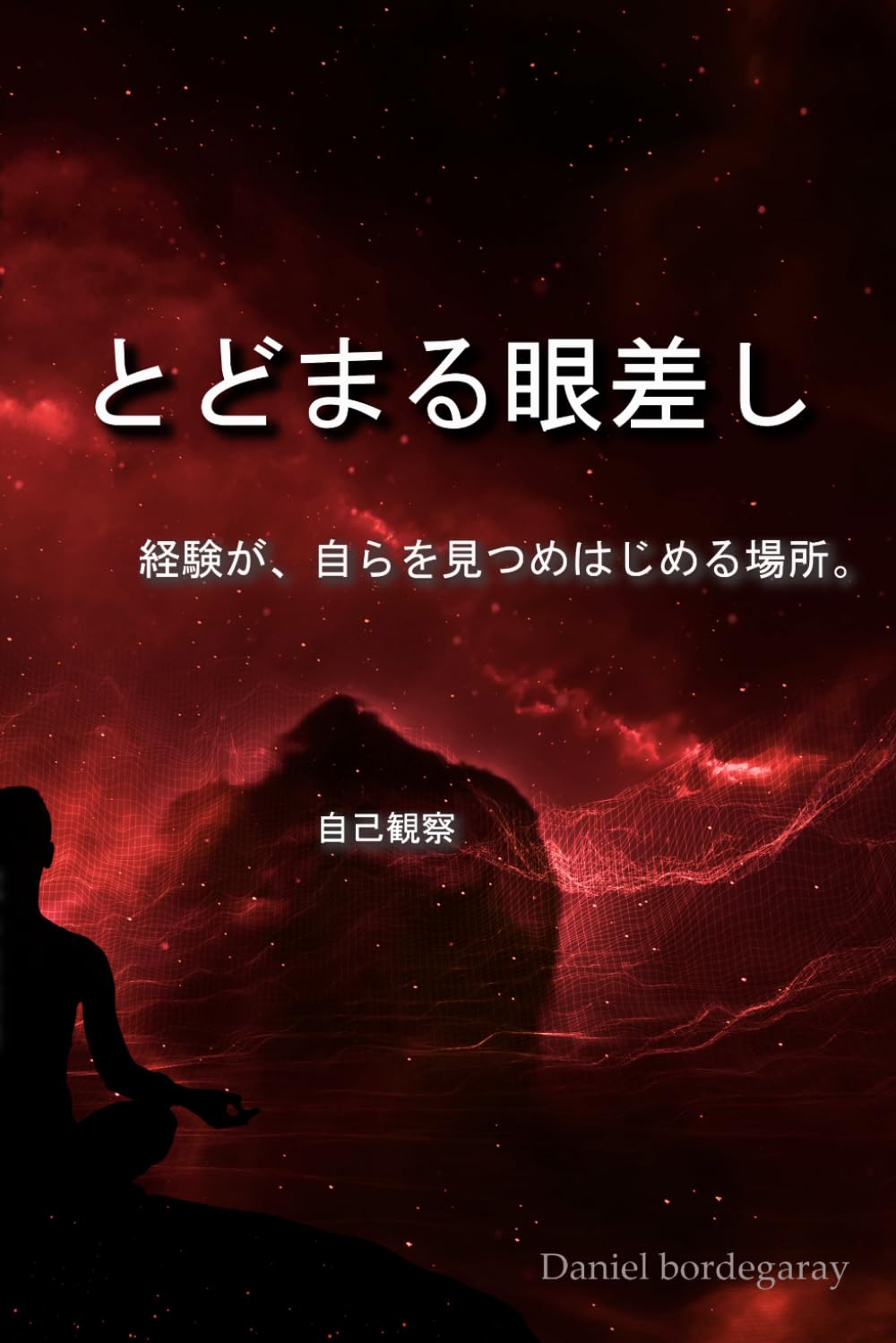 1.1 とどまる眼差し: 経験が、自らを見つめはじめる場所。