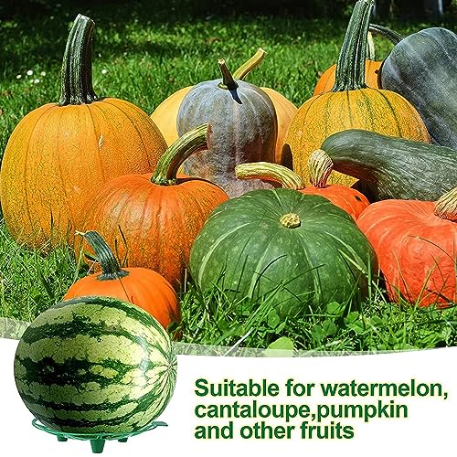 Tnfeeon Durable Watermelon Stand Melon Pumpkin Support Holder for Garden Farm - Image 3