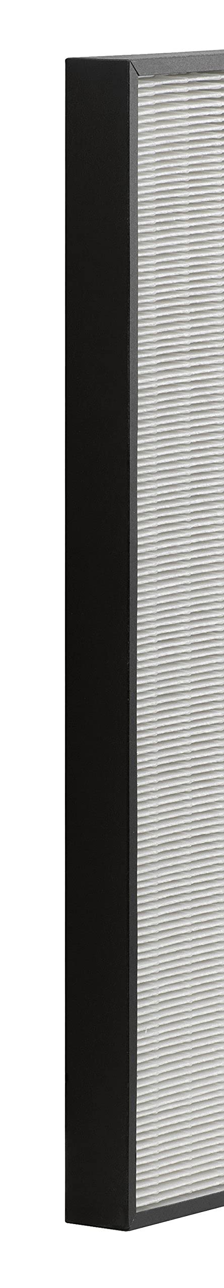 Tefal xd6070 °F0 HEPA Filter