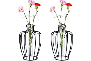 Esmiome Black Wire Vase for Plants