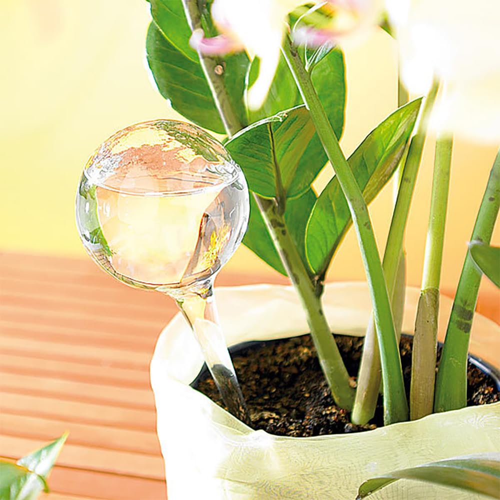 Lot de 4 Globe d'arrosage Automatique Boules d'Irrigation pour Plante Transparent Distributeur Eau Plantes pour l'Intérieur l'Extérieur