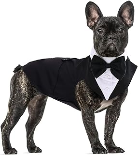 QBLEEV Medium Dog Tuxedo and Accessories Set - Dog Suit, Bandana, and Bow Tie for Formal and Themed Occasions (Black)