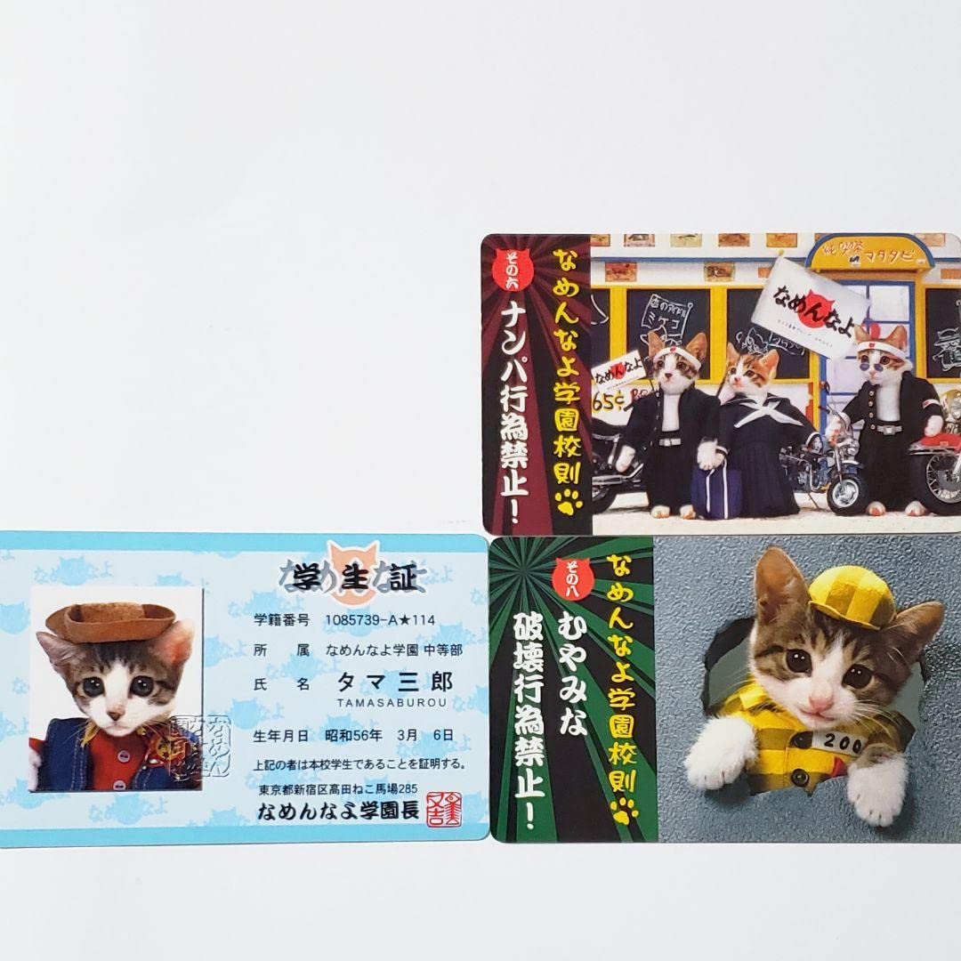 Amazon | なめ猫 なめんなよ猫 カード 学生証 セット 免許証