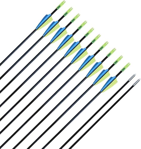 CQ Archery Fiberglass Target Practice Arrows 2830inch Recurve Bow Arrows for Beginners or Kids and Youth(12pcs) disponible en Yaxa Peru