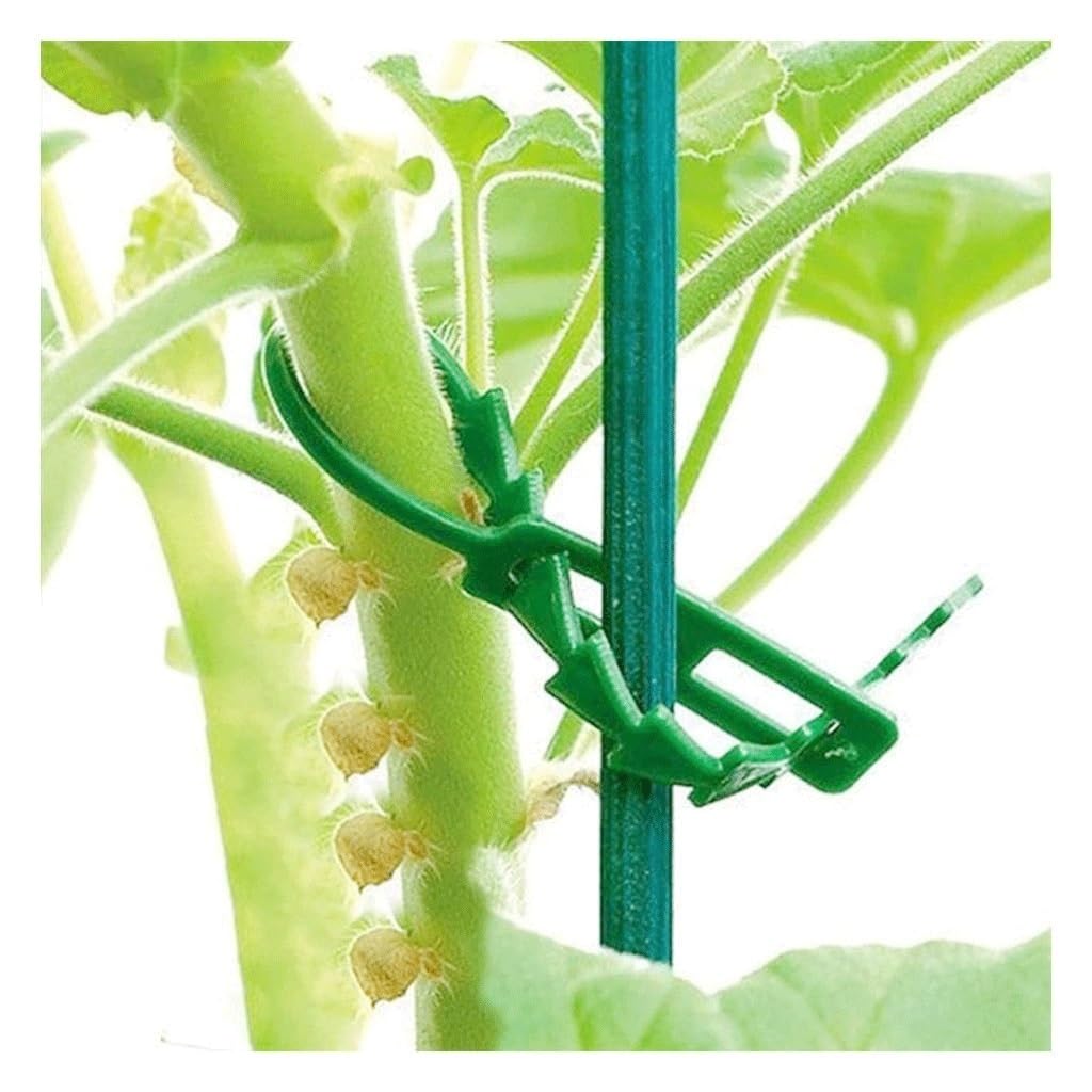 Weitingkkk One Color Plant Ties, Adjustable Flexible Tree Tie Garden Plant Cable Ties Pack Of 100 For Rose Shrub Plants