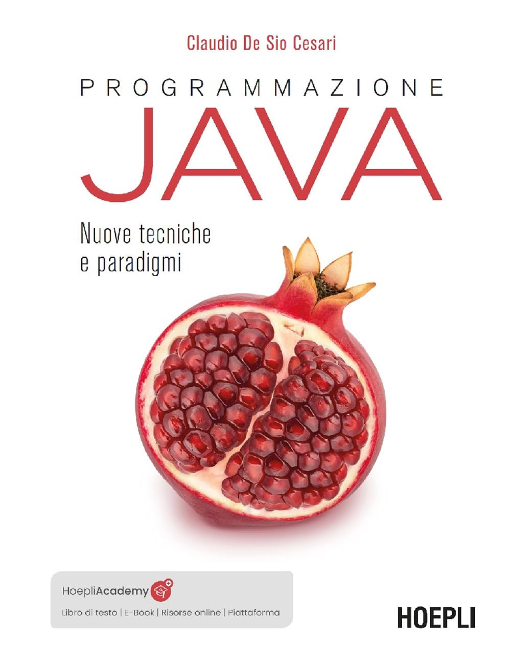 Programmazione Java. Nuove tecniche e paradigmi. Con e-book. Con piattaforma didattica. Con risorse online (Hoepli informatica)