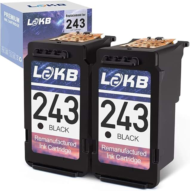 Amazon.com: canon ink cartridges 243
