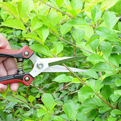 J&D Garden Pruning Set, Professional Hand Pruners Bypass Pruners Cutter Secateurs Pruning Shears Flower Shears Hedge Shears Scissors for Garden Lawn Work, Stainless Steel Blade Spring Lock, 3 Pcs 5 J&D Garden Pruning Set, Professional Hand Pruners Bypass Pruners Cutter Secateurs Pruning Shears Flower Shears Hedge Shears Scissors for Garden Lawn Work, Stainless Steel Blade Spring Lock, 3 Pcs - Image 5