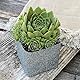 DUPLI-COLOR 607844 GRANITE LOOK grau 400 ml