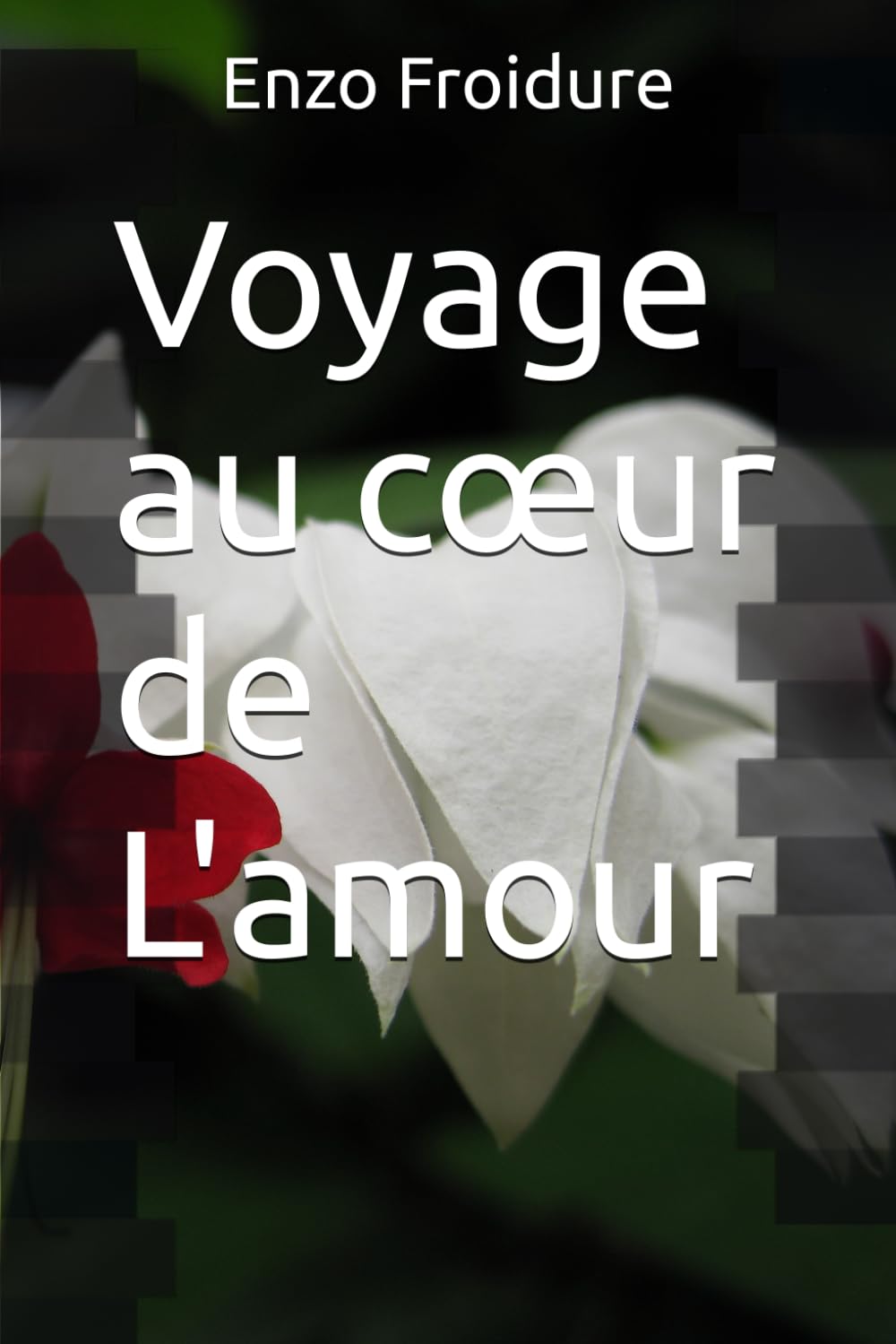 Voyage au cœur de L'amour