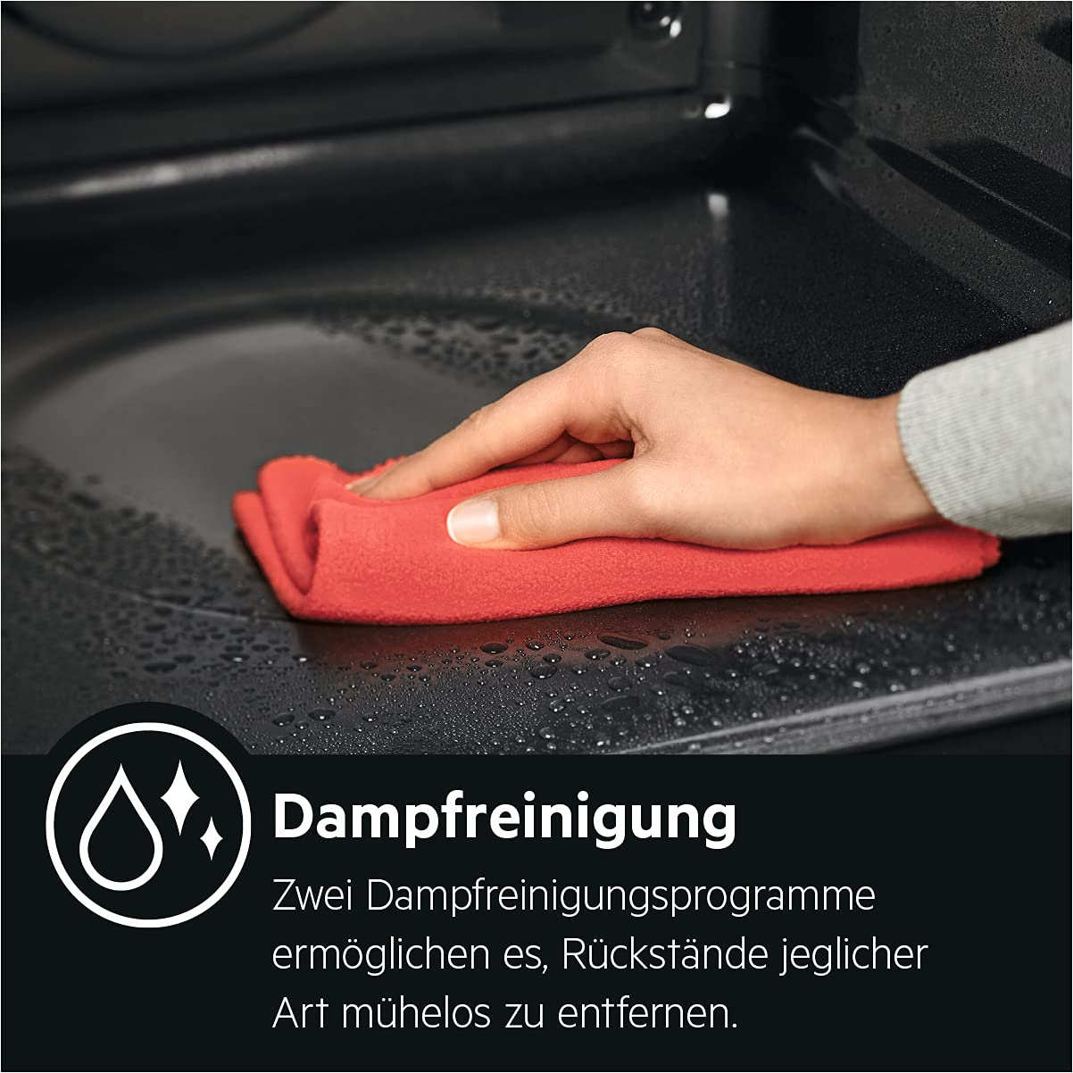 AEG BSE78228BM Four à vapeur/série 8000 cuisson vapeur : 100% vapeur avec assistant automatique/écran couleur TFT Full Touch/nettoyage à la vapeur/capteur de température centrale/fabriqué