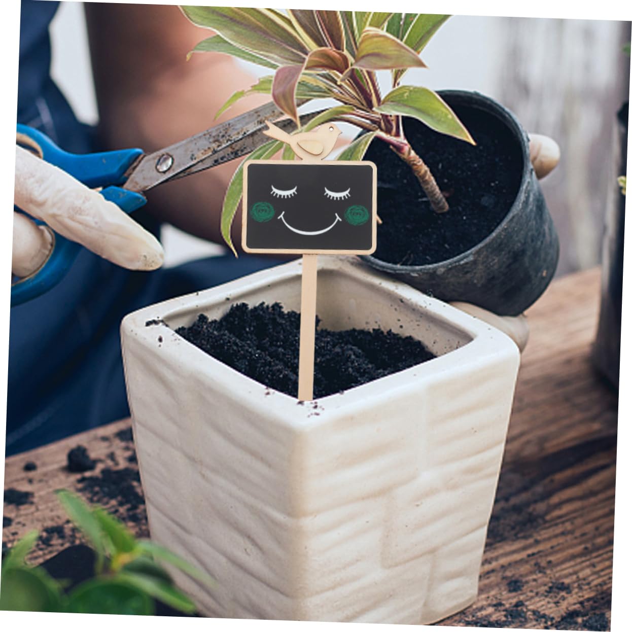 Sosoport 4 Sets Holzpfahl Pflanzenmarkierung Gartenetikett Outdoor-pflanzenschild Robuste Pflanzenschilder Löschbare Tafel Für Den Garten 10 Stück * 4