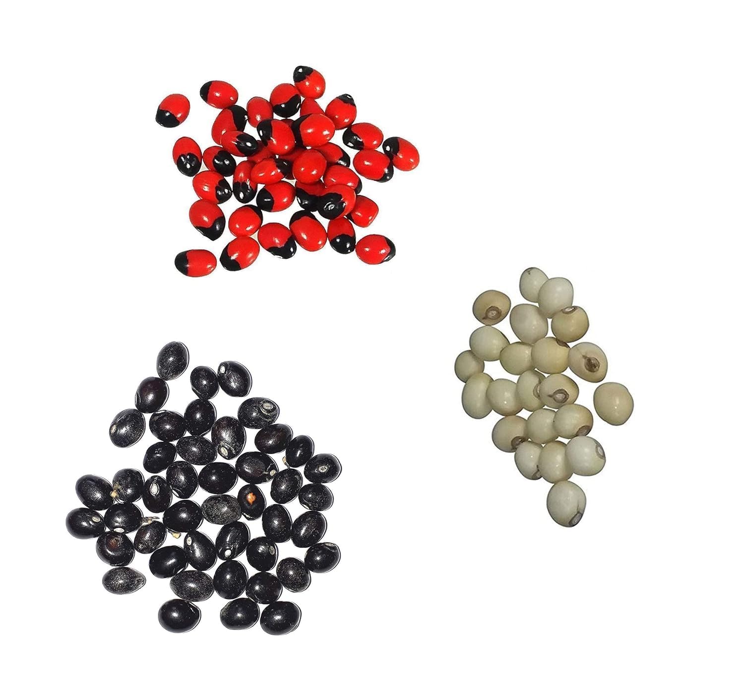 33 Pieces(11 Pcs Each) Pure and Original Rare Chirmi Seeds Combo :Red Gunja Black Chirmi White Gurinvida Beads Ratti Gumchi Madhuyastika for Lakshmi Mahakali and Saraswati-image-29