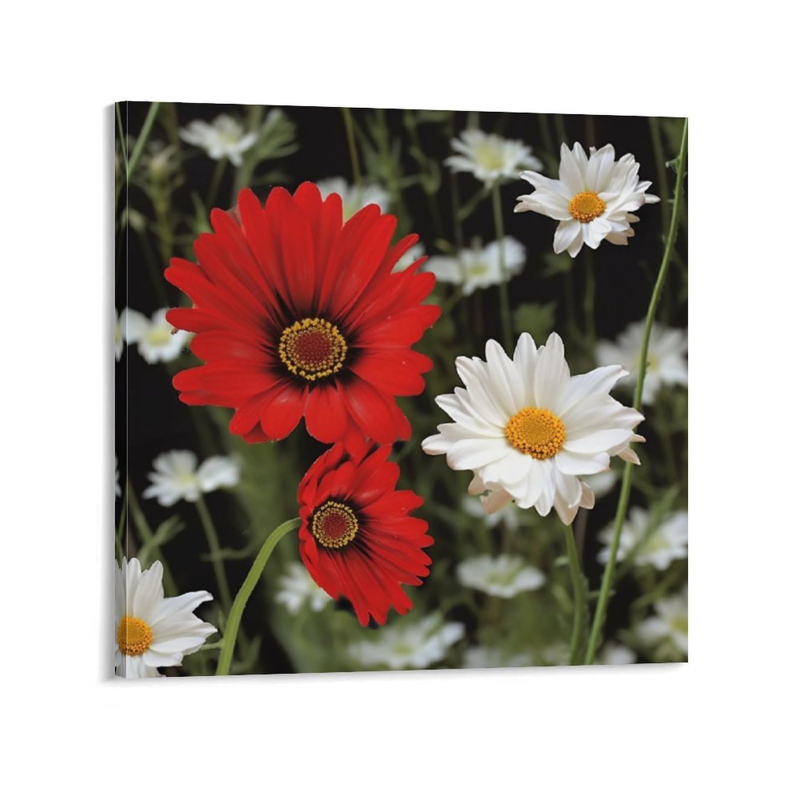 Red Flower And White Daisy Canvas Wall Art for Bedroom 16x16inch(40x40cm) Canvas Prints Artwork for Walls Modern Picture Artwork Painting for Living Room Aesthetic Wall Paintings for Bathroom Kitchen