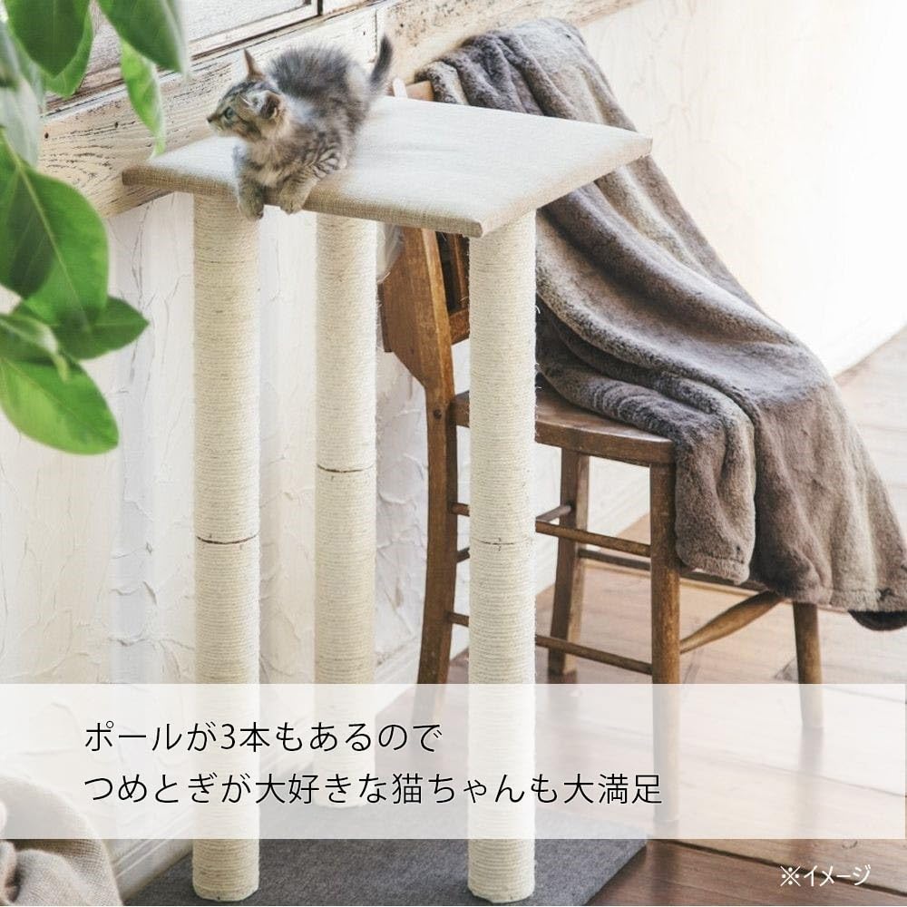 Amazon | カインズ(CAINZ) 爪とぎロングポール 3本 幅44cm 奥行44cm 高