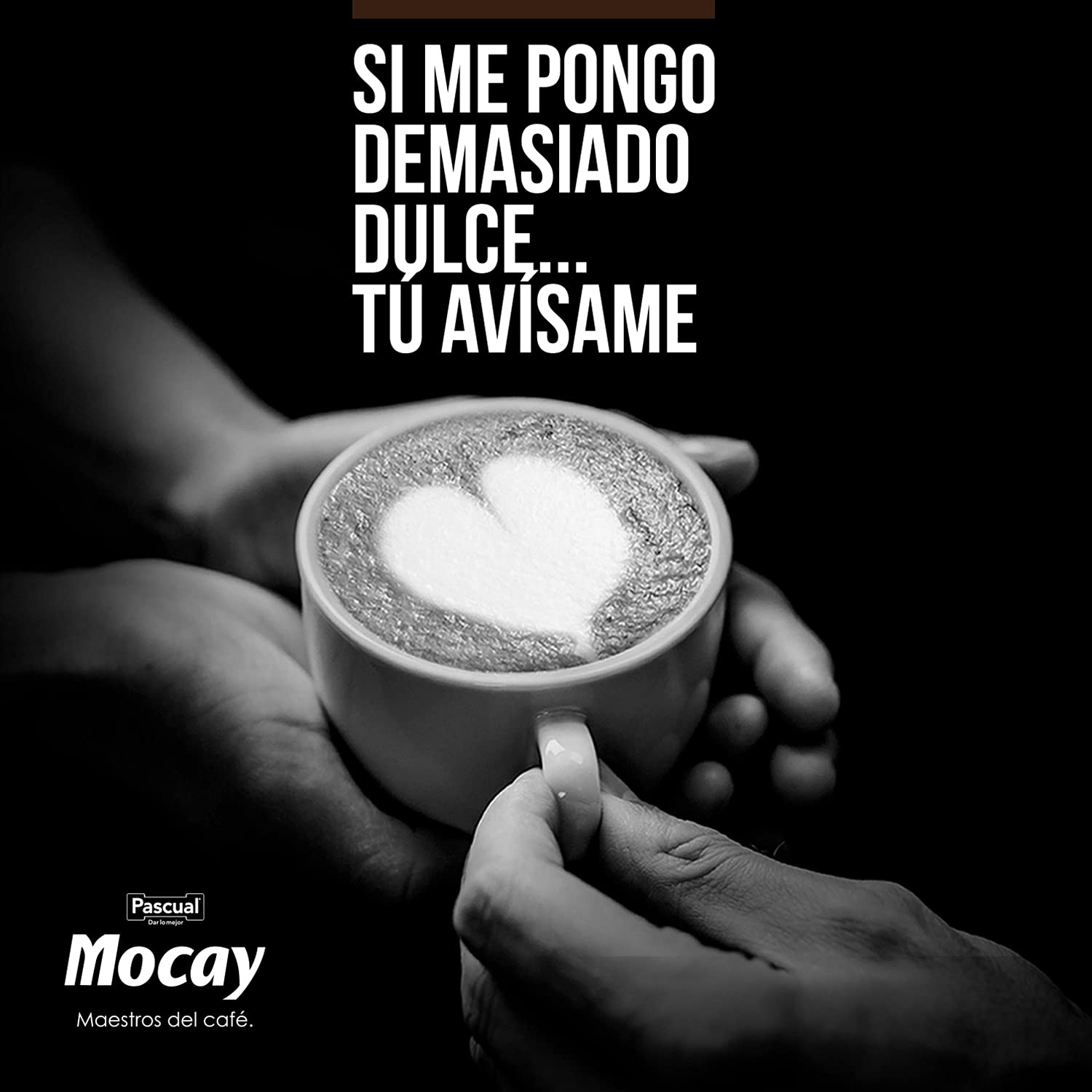 Mocay – Café Frío Listo para Tomar - Pack de Vasos de Café Cappuccino Listo para Beber – 10 Vasos x 200 ml