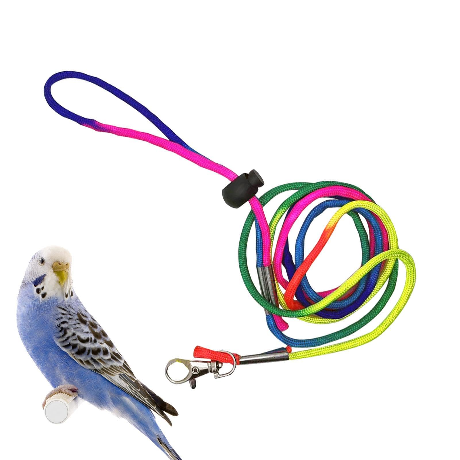 Fukamou Colored Leash Bird Harness | Fashion Soft Bird Diapers Suite,Pigeon Pants For Small Medium Birds Parakeets Parrot Cockatiel, Bird Diapers For Parrots, Bird Clothes