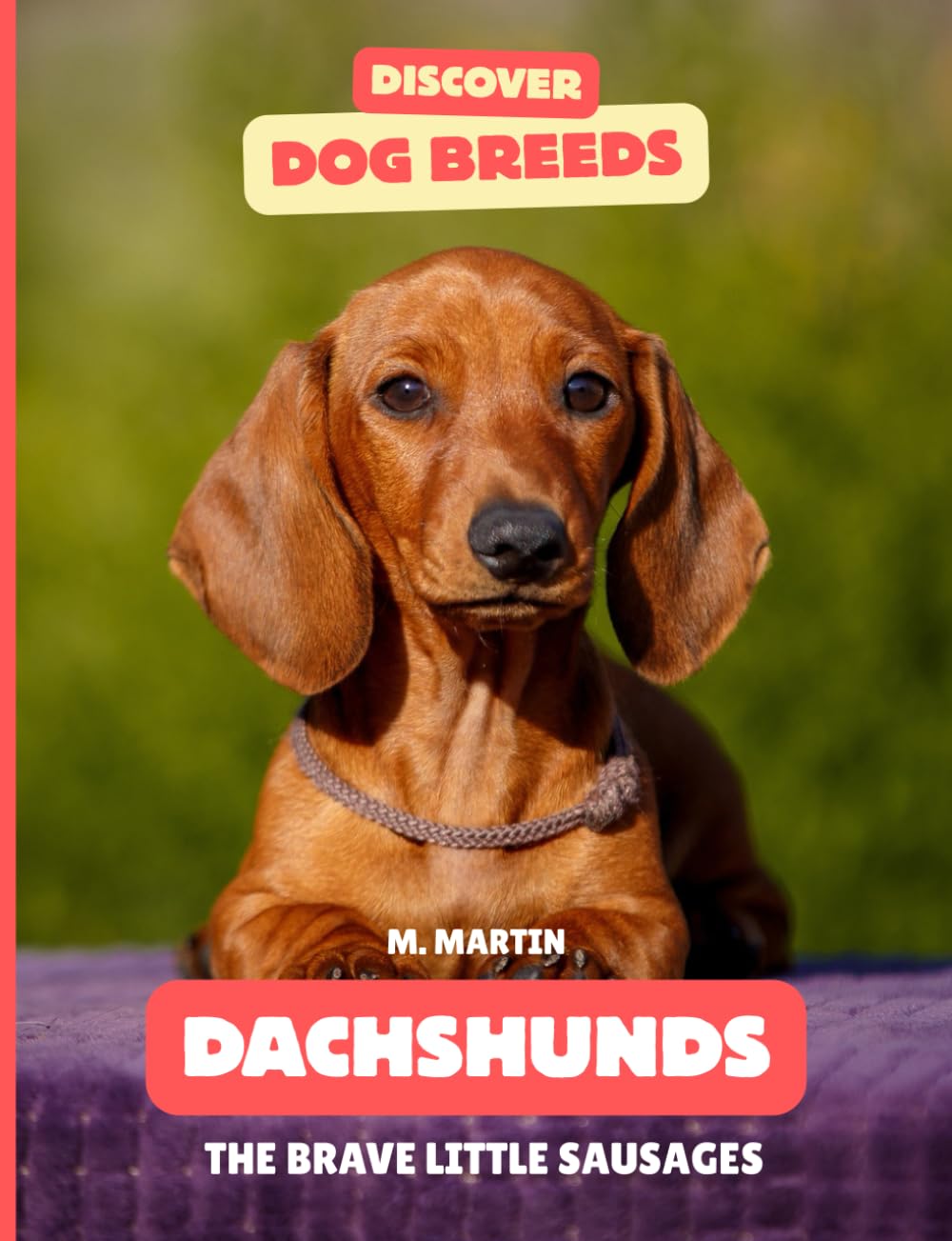 Dachshunds: The Brave Little Sausages (Discover Dog Breeds)