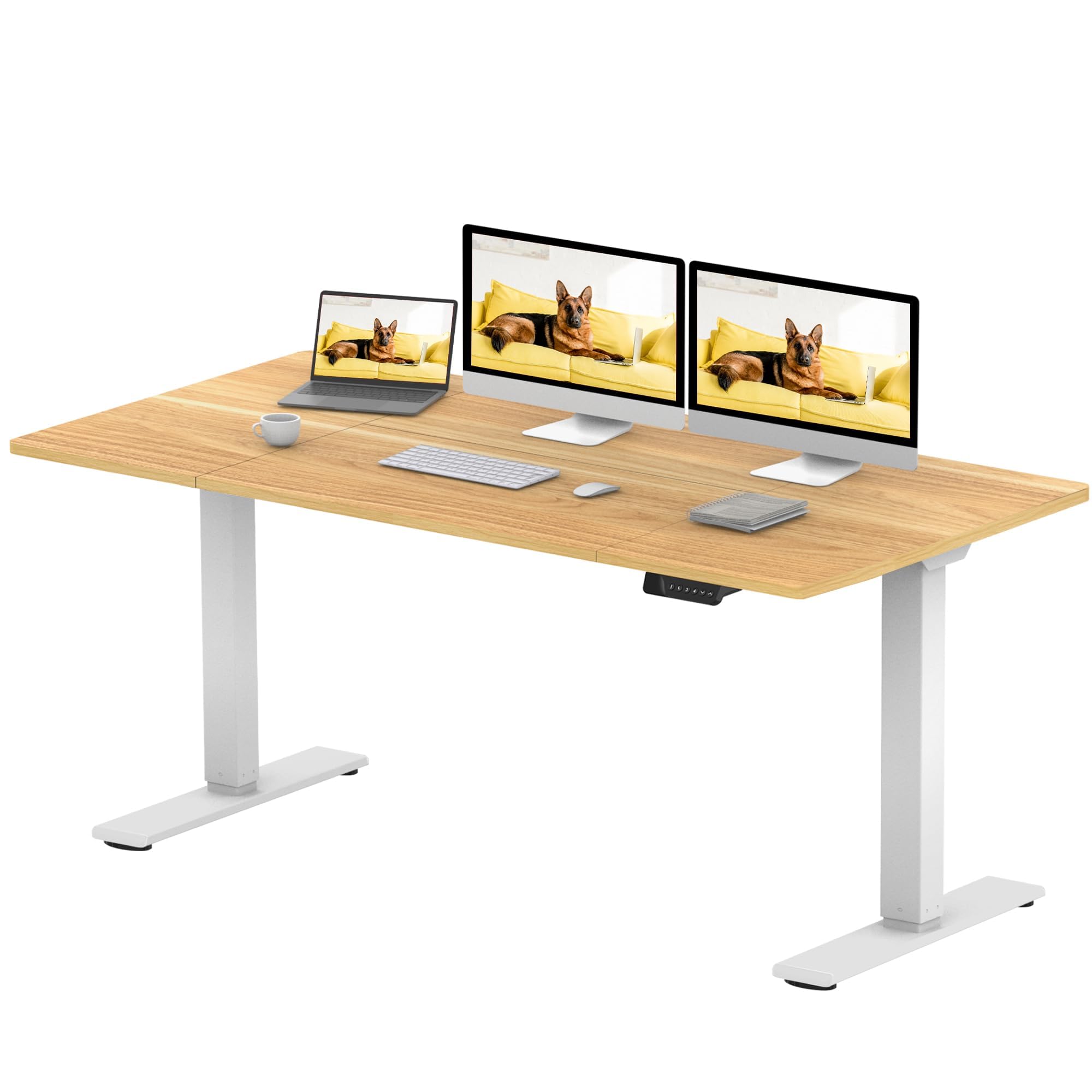 SANODESK Q1 Pro Escritorio Elevable Eléctrico con 2 Motores 160 x 70 cm con 4 Funciones de Memoria, Capacidad de 120 kg, Ideal para Oficina en Casa y Gaming (Arce)
