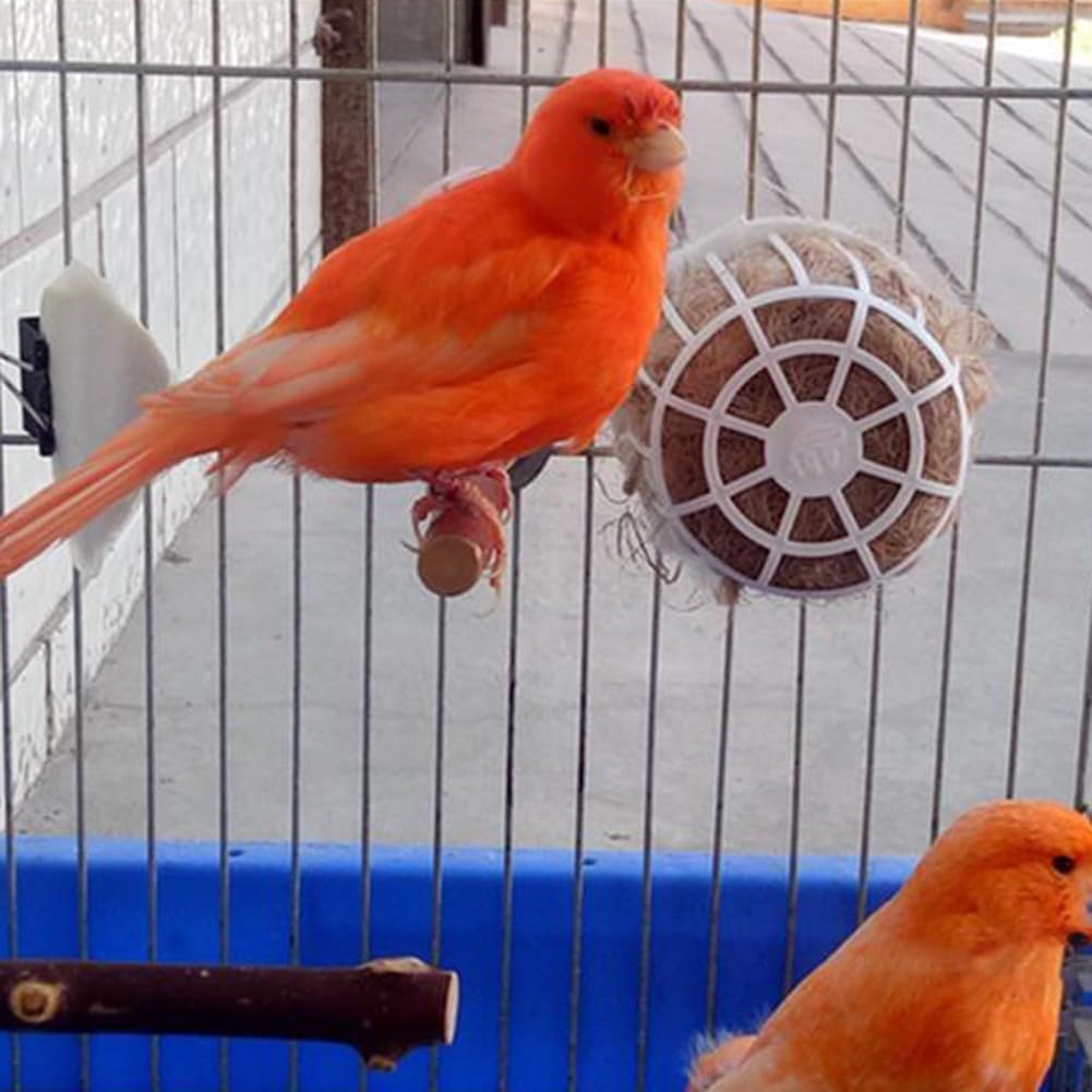 Soportes de material de anidación para pinzas, canarios y periquitos, paquete de 1 o 5 con materiales naturales (1 unidad) - 5