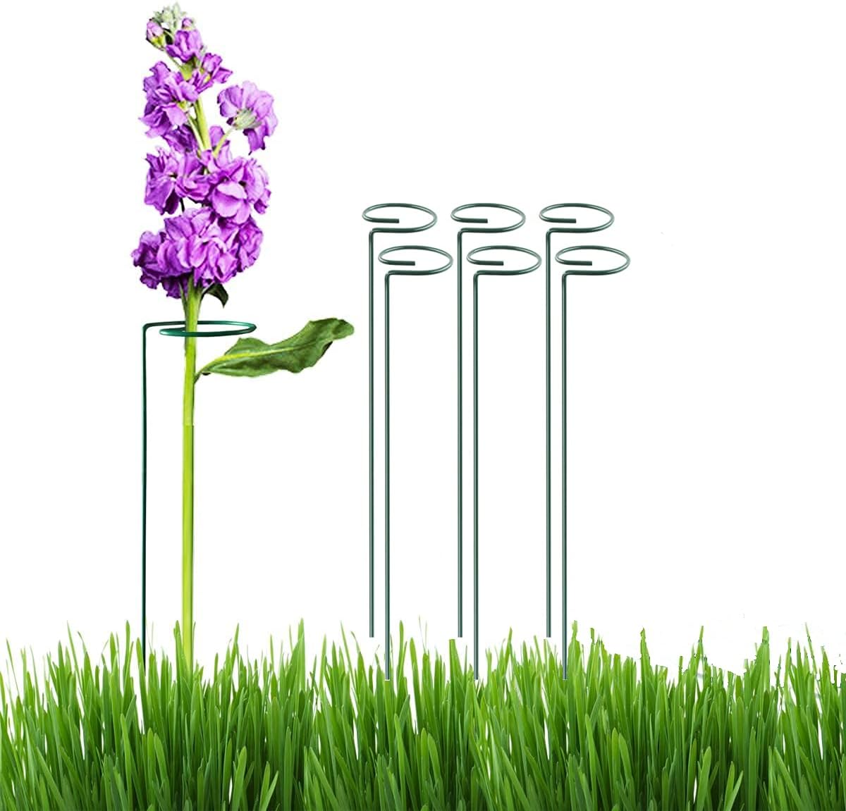 Buy 24 inch 5 pcs Plant Stake Support, Garden Single Stem Support