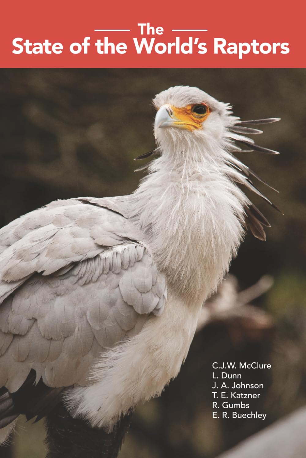 The State of the World’s Raptors