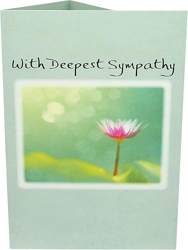 Miniatura 10 de Blue Mountain Arts Surtido de tarjetas de condolencia: 2 tarjetas de felicitación únicas con palabras de comodidad para enviar tus condolencias más