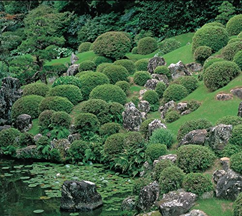 Japan's Master Gardens: Lessons in Space and